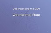 1 Operational Rate Understanding the BAM. 2 Overview  Sampling  Formula  Weighting  Excluded Overpayments  Time Period.