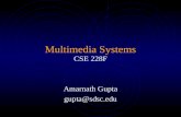 Multimedia Systems CSE 228F Amarnath Gupta gupta@sdsc.edu.