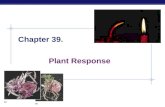 AP Biology Chapter 39. Plant Response AP Biology Plant Reactions  Stimuli & a Stationary Life  animals respond to stimuli by changing behavior  move.