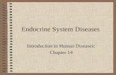 Endocrine System Diseases Introduction to Human Diseases: Chapter 14.