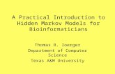 A Practical Introduction to Hidden Markov Models for Bioinformaticians Thomas R. Ioerger Department of Computer Science Texas A&M University.
