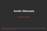 Aortic Stenosis Randall Harada Echo conference: 12 Sep 2007.