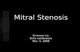 Mitral Stenosis Emerson Liu Echo conference Nov. 5, 2008.