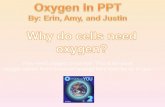 They need oxygen to survive. This is because oxygen allows them to extract energy form food for us to use.
