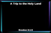 A Trip to the Holy Land Exodus 3:1-5. 1 Now Moses was tending the flock of Jethro his father-in-law, the priest of Midian. And he led the flock to the.