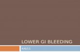 LOWER GI BLEEDING 4/6/11. LGIB  Distal to ligament of Treitz  Annual incidence rate of 20.5/100,000  Male predominance  Incidence of significant bleeding.