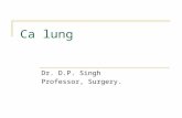 Ca lung Dr. D.P. Singh Professor, Surgery.. Primary lung cancer – risk factors Cigarette smoking Number of years Number of packs Passive smoking Atmospheric.