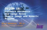 DICOM SR: Evidence Documents Key Image Notes Simple Image and Numeric Reports Rita Noumeir, Ph.D. Professor, University of Quebec.