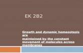 EK 2B2 Growth and dynamic homeostasis are maintained by the constant movement of molecules across membranes.