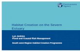 Habitat Creation on the Severn Estuary Lyn Jenkins Flood and Coastal Risk Management South west Region Habitat Creation Programme.