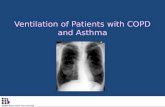Ventilation of Patients with COPD and Asthma. Chronic lung diseases with airflow obstruction Asthma Chronic Bronchitis Emphysema.