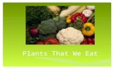 Plants That We Eat The Parts of a Plant We Eat  Fruits  Flowers  Seeds  Stem  Leaves  Roots.