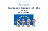 European Region of the WCPT (ER-WCPT). Established in September 1998 through the merger of two European organisations:  The Standing Liaison Committee.