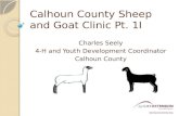 Calhoun County Sheep and Goat Clinic Pt. 1I Charles Seely 4-H and Youth Development Coordinator Calhoun County.