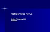 Cellular blue nevus Deba P Sarma, MD Omaha. F 39, left buttock Normal epidermis, infiltrating dermal tumor.