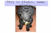 This is Gladys… awww, Gladys.. Here are some of her siblings! Lil’ Darling Larry Jethro Hoss.