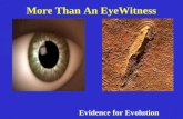 1 More Than An EyeWitness Evidence for Evolution.