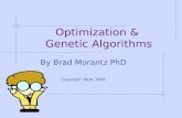 Optimization & Genetic Algorithms By Brad Morantz PhD Copyright 2004, 2008.