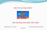ARE YOU GOING FROM -- THE FRYING PAN INTO THE FIRE? February 24, 2012 Carolyn Wyckoff & Pat Farrell.