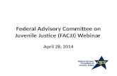 Federal Advisory Committee on Juvenile Justice (FACJJ) Webinar April 28, 2014.