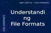 CHS GRAPHICS GDP UNIT 01 FILE FORMATS Understanding File Formats.