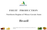 Associação Central dos Fruticultores do Norte de Minas FRUIT PRODUCTION Northern Region of Minas Gerais State Brazil.