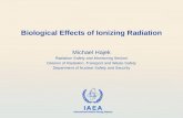 IAEA International Atomic Energy Agency Biological Effects of Ionizing Radiation Michael Hajek Radiation Safety and Monitoring Section Division of Radiation,