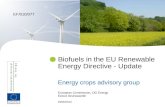 European Commission, DG Energy Ewout Deurwaarder 29/06/2010 Biofuels in the EU Renewable Energy Directive - Update Energy crops advisory group EF/010/077.