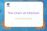 The Chain of Infection How diseases spread. The Chain of Infection Source of Infection There needs to be someone or something carrying the bad microbes.