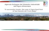 “A successful cluster: the case of Agro-food Park of San Daniele del Friuli (Italy)” Agenzia Sviluppo del Distretto Industriale dell’Agro-Alimentare.