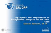Deployment and Preparation of Metagenomic Analysis on the EELA Grid Gabriel Aparício, et al.