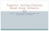EXCESS LEVY BUDGET, EXPENDITURES AND SIGNIFICANT PURCHASES Tygarts Valley/Valley Head Area Schools.