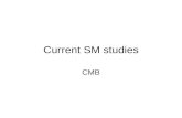 Current SM studies CMB. Reports at last meeting W/Z cross-section (CSC) W-mass (CSC) Dibosons (CSC) Minimum bias (CSC) W+charm.