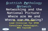 SPAN Networking and the National Picture: Where are We and Where are We Going? Dr. Lee B. Jordan Lead Clinician for SPAN Consultant Pathologist, NHS Tayside.