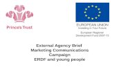 External Agency Brief Marketing Communications Campaign ERDF and young people.