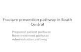 Fracture prevention pathway in South Central Proposed patient pathway Bone treatment pathway Administration pathway.