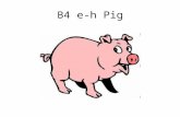 B4 e-h Pig. What’s wrong with this food chain? Arrows pointing wrong way.