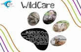 The WildCare Trust was set up in 2005 with the aim of saving animals from extinction. It is a charity and relies on its members for financial support to.
