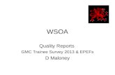 WSOA Quality Reports GMC Trainee Survey 2013 & EPEFs D Maloney.