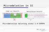 MRC-Holland b.v. Microdeletion in IC Copy no. Results 50% Microdeletion deleting exons 1-4 SNRPN Methylation Results 1.