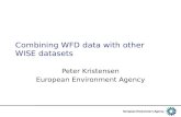 Combining WFD data with other WISE datasets Peter Kristensen European Environment Agency.