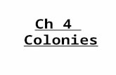 Ch 4 Colonies. region An area defined by common features or conditions Ex- land – coastal- mountains- plains.