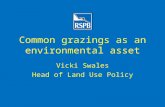 Common grazings as an environmental asset Vicki Swales Head of Land Use Policy.