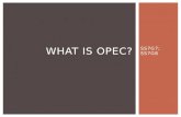 SS7G7; SS7G8 WHAT IS OPEC?.  O __________________ of  P ___________________  E ___________________  C ___________________ WHAT IS OPEC?