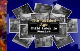 The Gilded Age Child Labor in America. Child Labor: the Lucky Ones Child labor was a national disgrace during the Gilded Age. The lucky ones swept the.