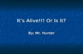 It’s Alive!!! Or Is It? By: Mr. Hunter. What do you think? Living or non-living?