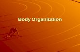 Body Organization. Anatomy vs. Physiology LT#1 Anatomy is the study of structure of body parts & their relation to one another Physiology is the study.