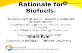 Copernicus Institute Sustainable Development and Innovation Management Rationale for Biofuels. ”Biofuels and biodiversity – towards a sustainable use of.