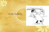 Lab Safety. Lab Safety and Procedures Why worry about safety??