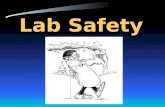 Lab Safety Why is Lab Safety Important? Lab safety is a major aspect of every lab based science class. Lab safety rules and symbols are needed so that.